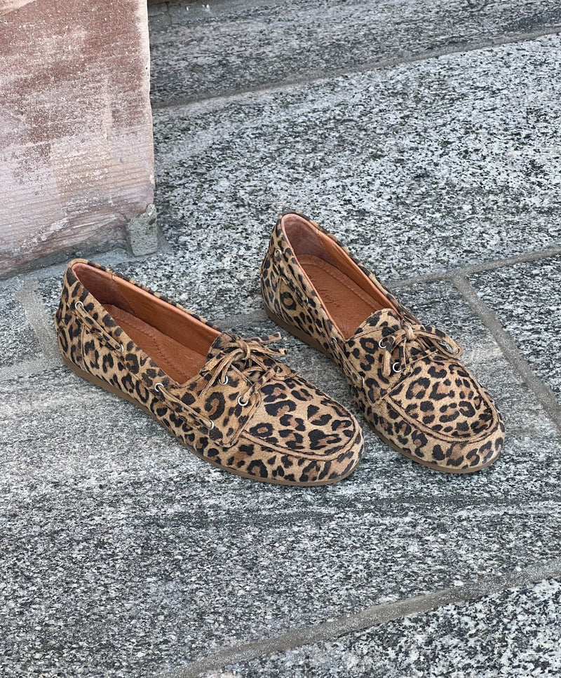 BEACON S - Leopard ruskind - Sejlersko