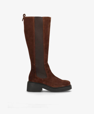 SADDLE LONG S - Mørkebrun ruskind - Lange støvler Dame